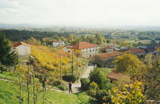 eika image